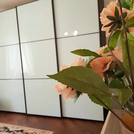 아파트 Del Mar Country Loft *