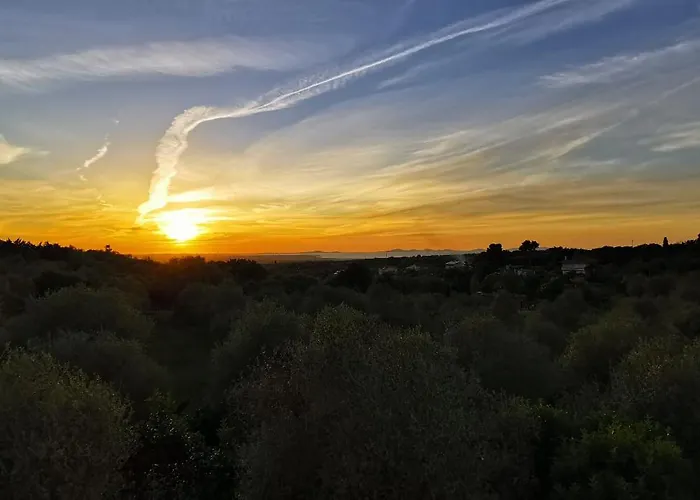 Del Mar Country Loft *